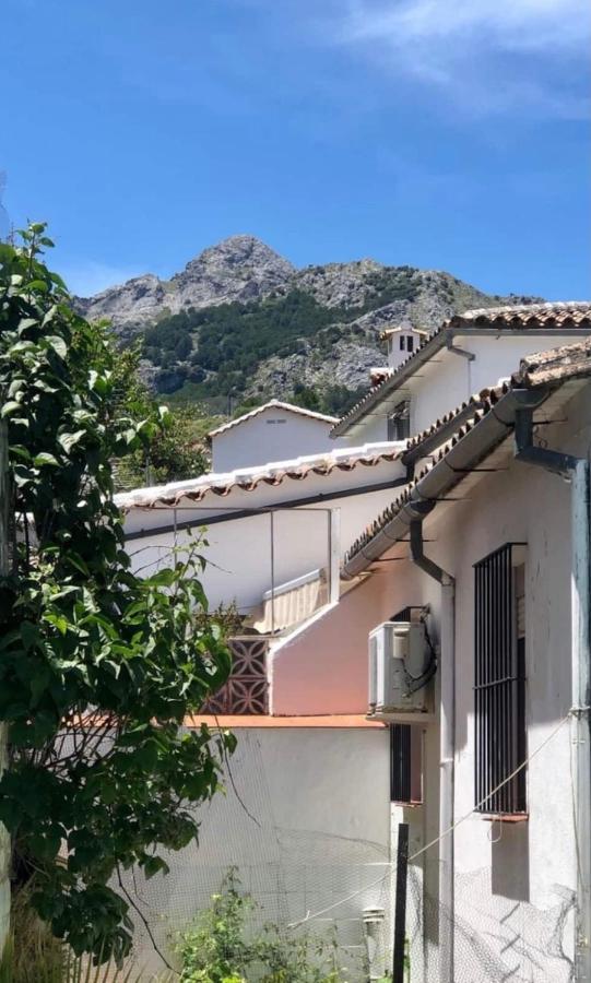 Apartamento La Parra غراثاليما المظهر الخارجي الصورة