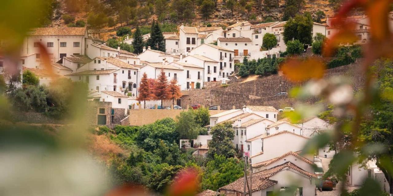Apartamento La Parra غراثاليما المظهر الخارجي الصورة