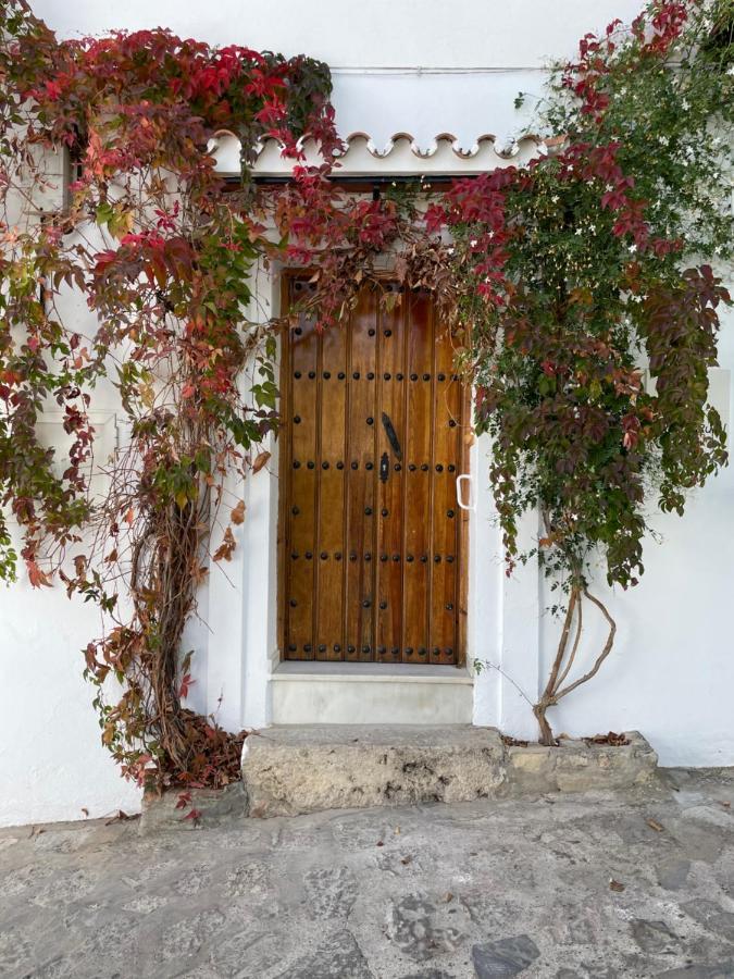 Apartamento La Parra غراثاليما المظهر الخارجي الصورة